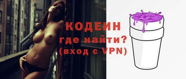 шишки Балахна