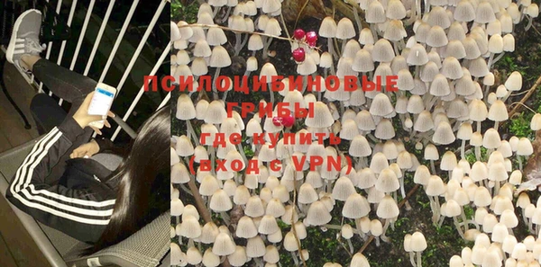 скорость mdpv Белокуриха