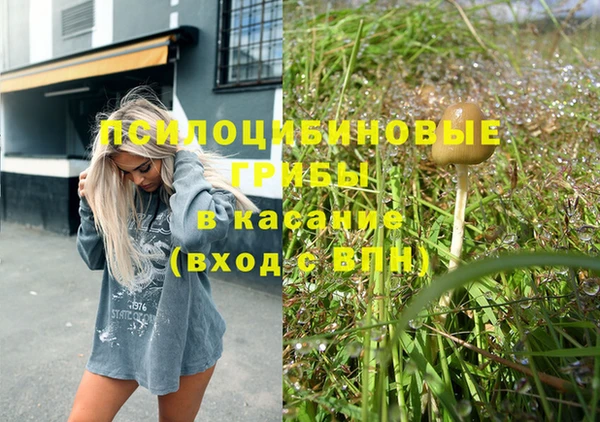 шишки Балахна