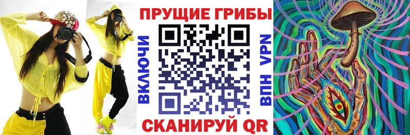 Галлюциногенные грибы MAGIC MUSHROOMS  Кизилюрт 