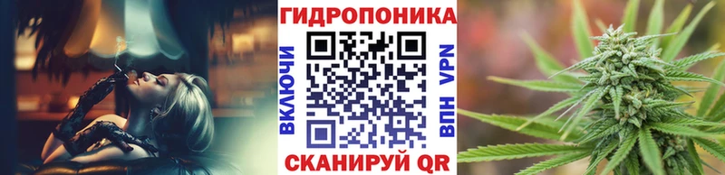 Бошки Шишки гибрид МЕГА ссылка Кизилюрт